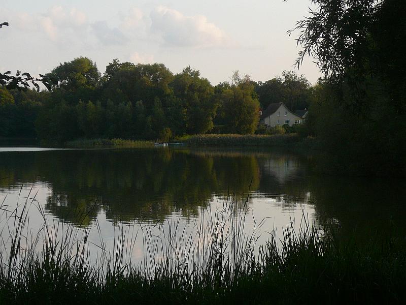 37-wollgast-rueckfahrt-h-P1180816.JPG