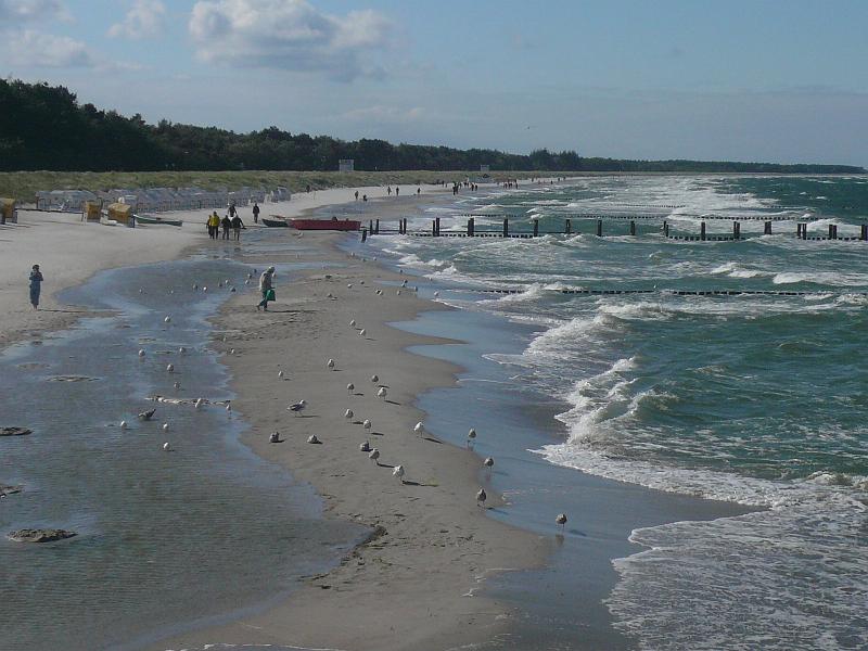 73-zingst-h-P1190051.JPG
