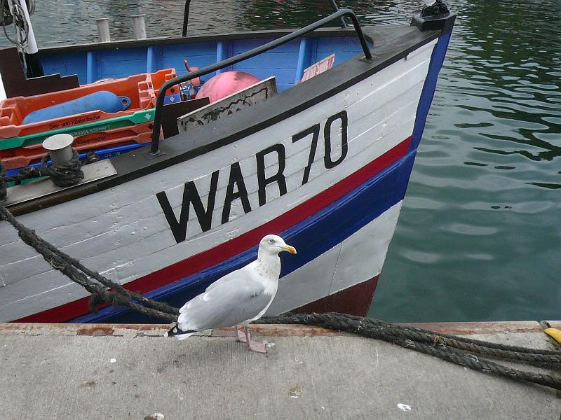 84-warnemuende-fischmarkt-h-P1190108.JPG